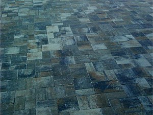Photo 113